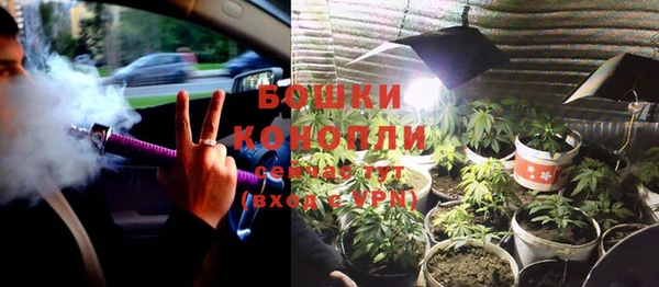 прущая мука Ельня