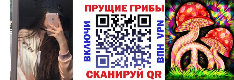 Купить  Энгельс  Псилоцибиновые грибы Magic Shrooms 